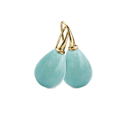 Eva Nueva Oorhangers